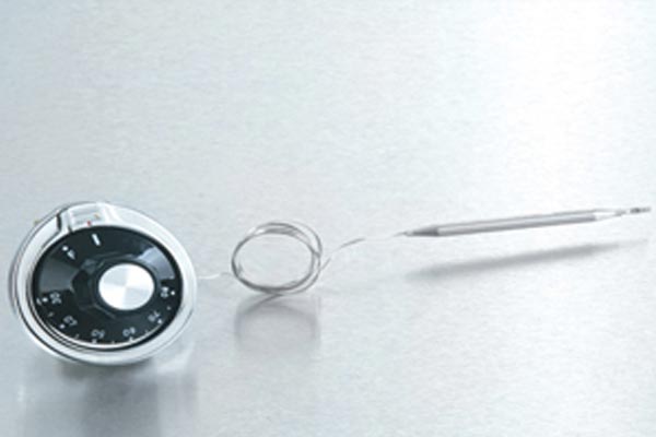 EGO 恒温器 024 号