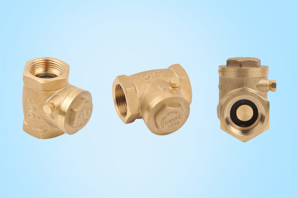 صمام عدم الرجوع | Check Valve
