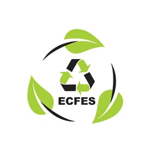 المصرية للخدمات البيئية