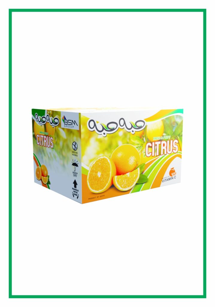 برتقال (15 كجم) | Oranges (15KG)