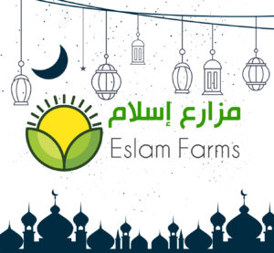 مزارع إسلام فارم