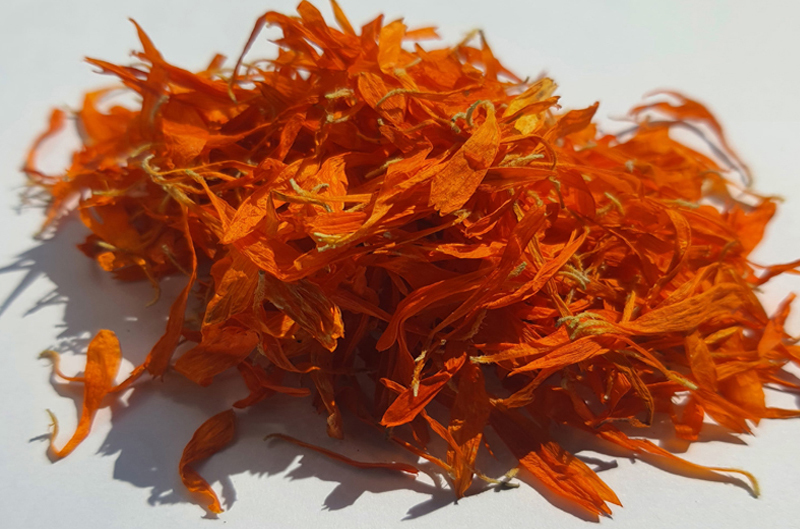 Calendula
