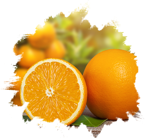 Fresh orange