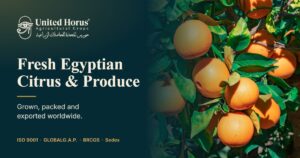 حورس المتحدة للحاصلات الزراعية