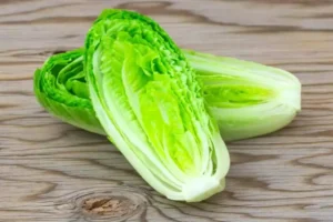 lettuce