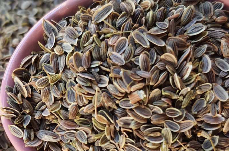 Dill seeds