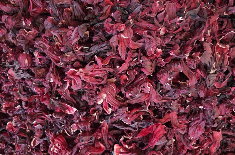 Hibiscus