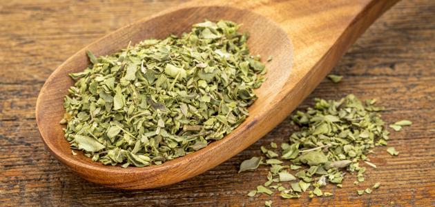 Oregano