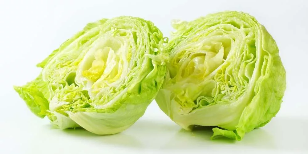 خس آيسبرغ