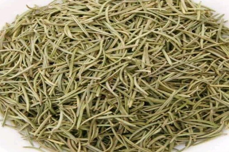 Rosemary