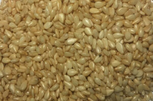 Golden sesame