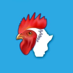 مصر الفيوم للدواجن