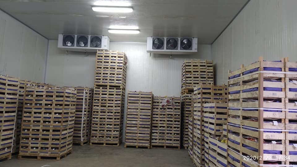Agricultural crop export stations