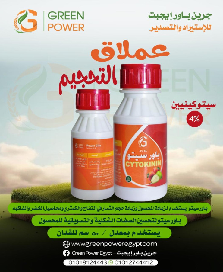 باور سيتو
