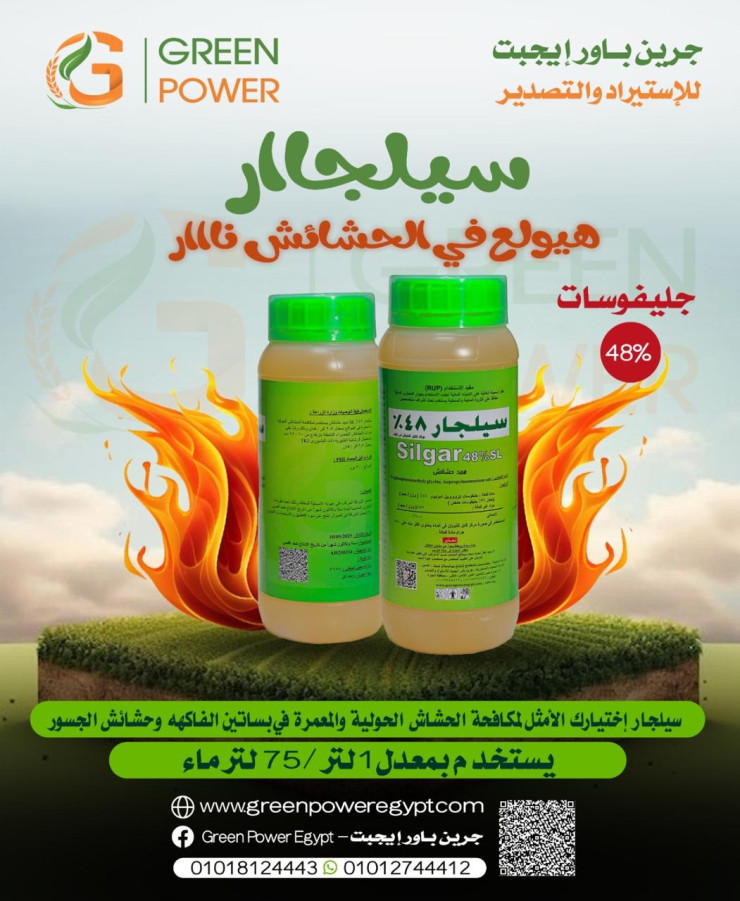 سيلجار 48%