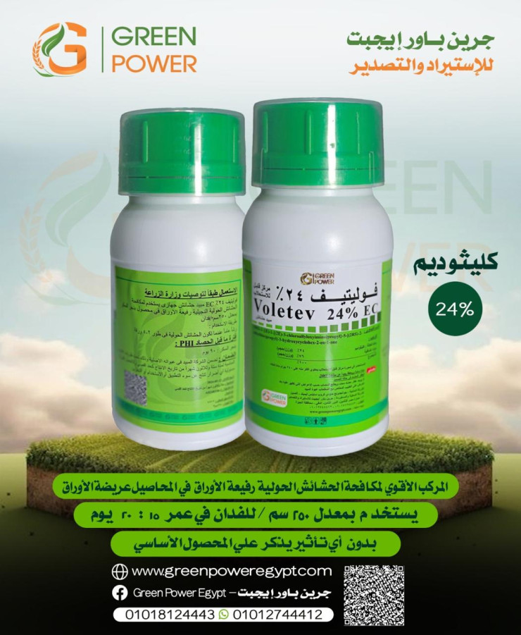 Fulative 24%