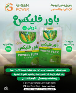 باور فليكس