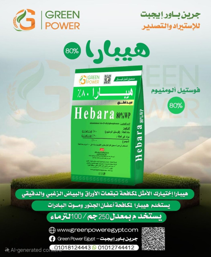 Hebara 80%