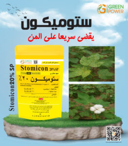 ستوميكون