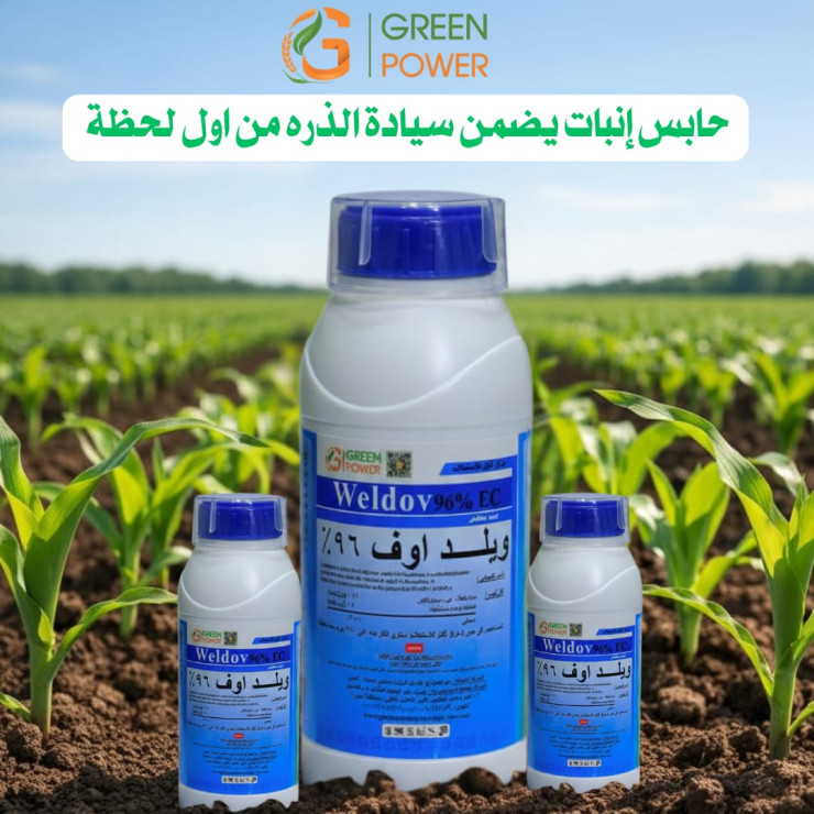 ويلد أوف 96% EC